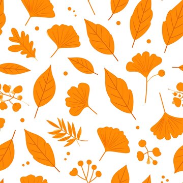 A vibrant orange leaf pattern on a white background