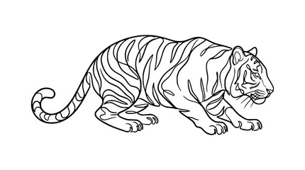 Tiger line art, black and white illustration of a stalking tiger © illustration