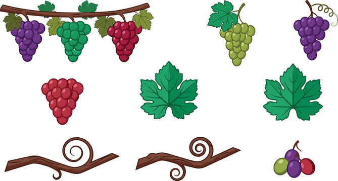 Winery and Vineyard Vector Element Set Featuring Red Purple Green Grape Bunches Vine Leaves and Curled Branches for Wine Bottle Labels and Juice Packaging