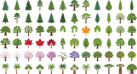Flat Vector Tree Icon Set Featuring Coniferous Pines Deciduous Maples Palms and Blooming Seasonal Foliage for Landscape Architecture Graphic Design Projects © Shahanaj