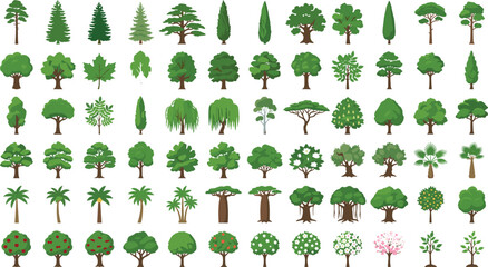Flat Green Tree Vector Icon Collection Featuring Deciduous Oaks Coniferous Pines Tropical Palms and Fruit Bushes for Landscape Architecture Graphic Designs © Shahanaj