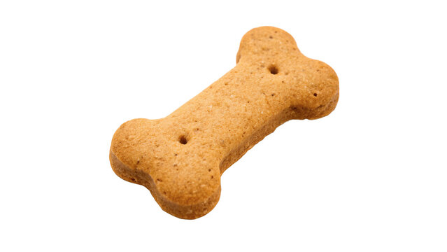 Dog bone rubber toy pet training accessory isolated on a transparent background