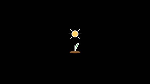 Minimalist sun and sprouting green seedling icon animation showing bright yellow warmth in this clean vector digital motion video
