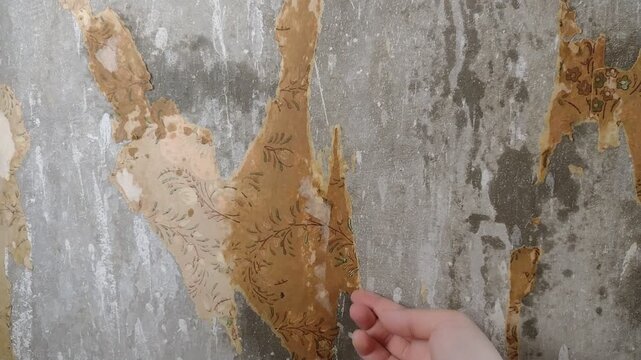 A hand peeling off pieces of old patterned wallpaper from a concrete wall during a room renovation. Stock footage for home improvement, interior repair process, and house restoration tutorials.