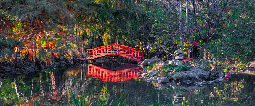 Red japanese bridge reflecting in tranquil garden pond