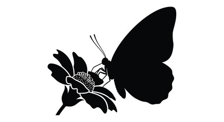A black butterfly perched on a flower depicted as a striking silhouette insect lepidoptera flower blossom petal flora botanical nature © Moriom
