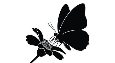 Butterfly and blossom flower in black silhouette against a white background silhouette insect lepidoptera petal flora botanical nature organic monochrome © Moriom