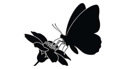 A black silhouette of a butterfly perched on a flowering branch a delicate botanical illustration silhouette insect lepidoptera wings flower © Moriom