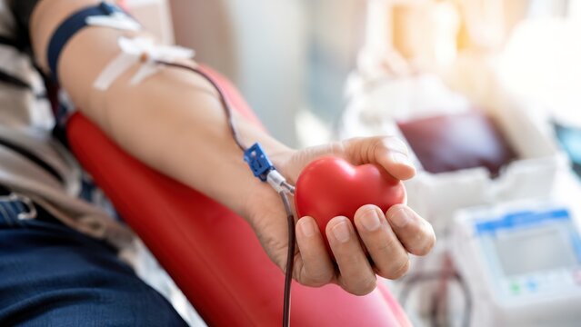 An individual contributing to a blood donation drive while grasping a red heart shaped stress ball representing the significance of donating blood and the essence of generosity in a medical environmen