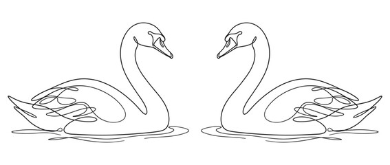 Continuous line drawing of two swans on water © Shahriar Ahamed