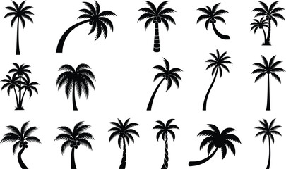 Naklejka premium Palm tree silhouettes vector set tropical coconut palm trees collection isolated black nature designPalm tree silhouettes vector set tropical coconut palm trees collection isolated black nature design