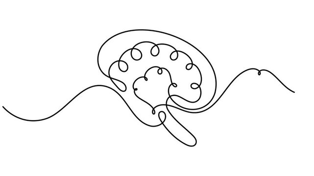 Modern human brain scribble continuous one line drawing on white background minimalist single art psychology of memory and mental health animation video