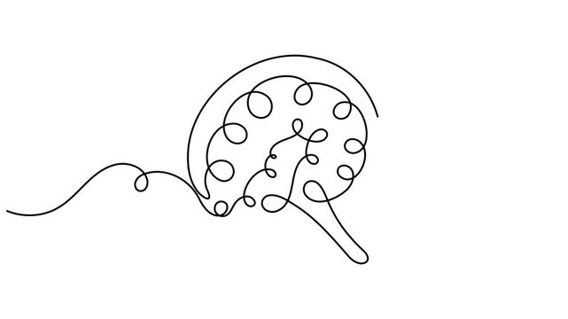 Modern human brain scribble continuous one line drawing on white background minimalist single art psychology of memory and mental health animation video