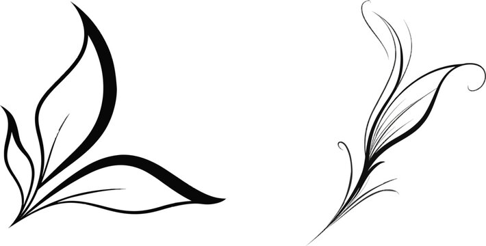 A minimalist abstract leaf corner accent is depicted with a single unbroken black outline against a solid white background, emphasizing negative space and flat design elements