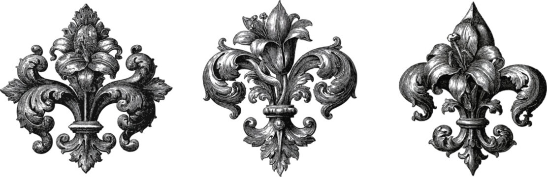 The intricate heraldic lily interwoven with baroque acanthus foliage on a classical book engraving style emblem, set against a solid white background, exudes elegance and sophistication