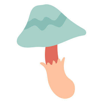 Wild mushroom flat