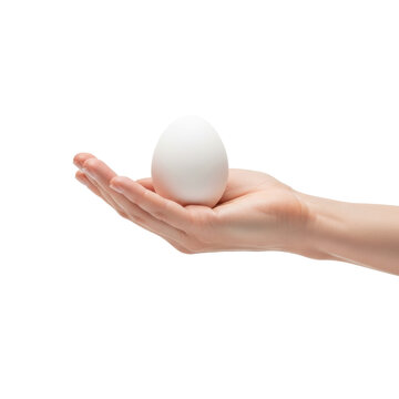 A well-manicured human hand, natural skin tone, gently cupped, carefully holding a single large white chicken egg in a pristine, shadowless studio, emphasizing fragility and purity concept