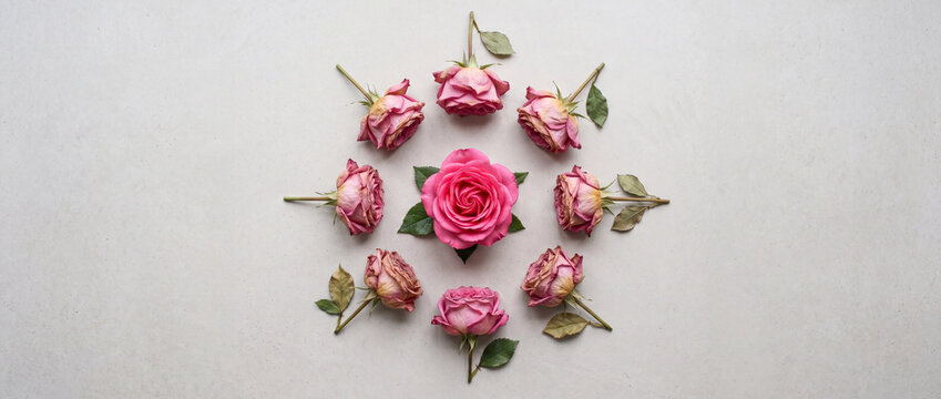 Pink rose surrounded by dried roses flat lay circular floral arrangement on neutral background