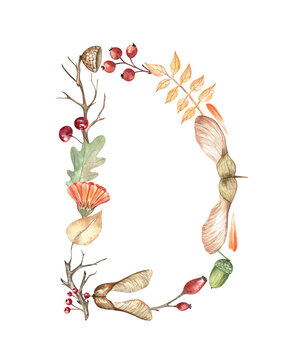 Autumn botanical letter D created from the watercolor hand-drawn leaves, twigs, maple keys, berries, and acorns. Elegant design element for monograms, stickers, preschool projects, botany art, books
