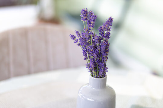 Purple lavender flowers in a white vase on a table at home, floral decor, cozy interior detail, natural lifestyle, calm botanical mood.