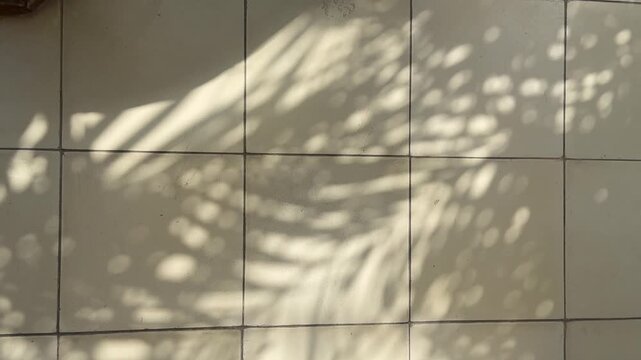 Warm tropical palm leaf shadows moving across beige floor tiles. Minimal horizontal background for wellness, architecture, luxury lifestyle, resort, interior design, and branding.
