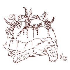 Obraz premium Turtle with plants stroke