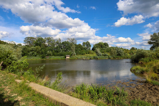 A picturesque lake spreads among green trees and lush coastal grass under a bright blue sky with fluffy white clouds. Small wooden houses for relaxation or fishing are visible on the opposite bank.