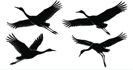 Obraz premium Beautiful Flying Birds Silhouette Collection - Majestic Cranes and Herons with Spread Wings in Dynamic Flight Positions, Vector Graphics for Nature Projects