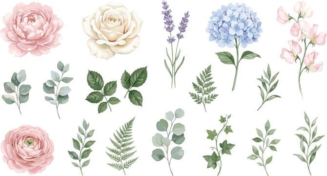 Elegant Watercolor Botanical Flower and Eucalyptus Leaf Vector Clipart Set with Peony, Rose, Hydrangea, and Lavender for Vintage Wedding Invitation Designs