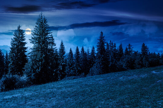 mysterious landscape with coniferous forest in summer at night. fantasy view of mountain landscape in poland. full moon over scenic spruce trees on a grassy alpine meadow. dark sky above the ridge