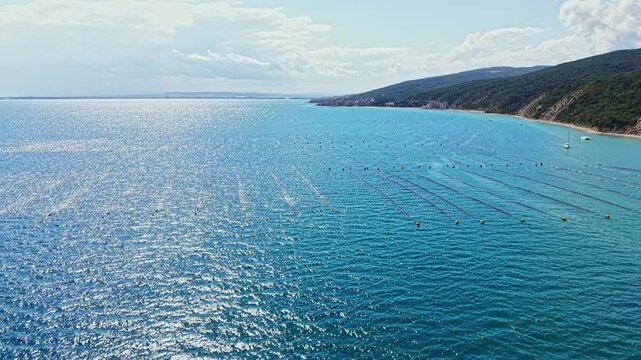 Mussel farm stretches across the water with rows of ropes and buoys floating. The coast is visible in the distance under a blue sky with clouds.