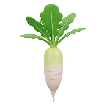 Fresh green radish with leafy top illustration