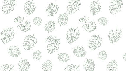 Seamless pattern background with handdrawn green monstera leaves line art © Creative