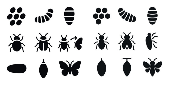 Insect icons with egg caterpillar pupa silhouette