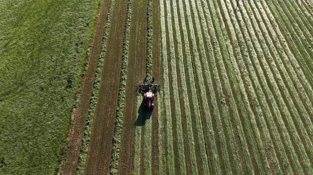 4K Tractor Turning Hay for Drying in Agricultural Field