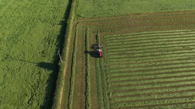 4K Tractor Turning Hay for Drying in Agricultural Field