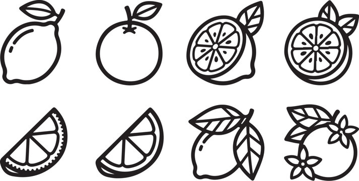 Simple citrus fruits and vegetable icons set