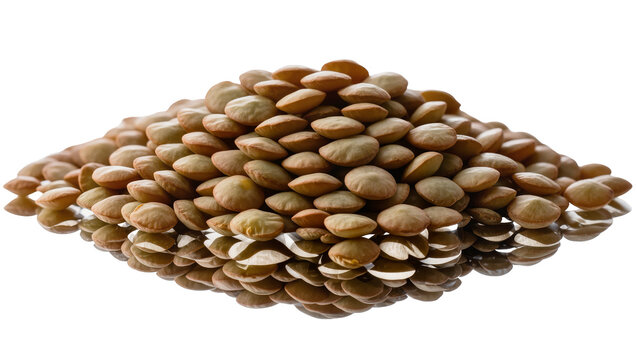 Isolated pile of brown and green lentils with reflection, nutritious and healthy food ingredient
