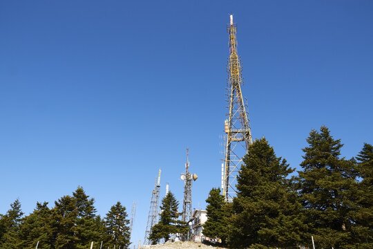 Aerial masts, greek fir (Abies cephalonica), mountain top, blue cloudless sky, Mount Enos, Kefalonia Island, Ionian Islands, Greece