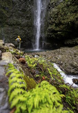 Hikers in front of a waterfall on a steep rock face, Levada do Caldeir&atilde;o Verde, Parque Florestal das Queimadas, Madeira, Portugal