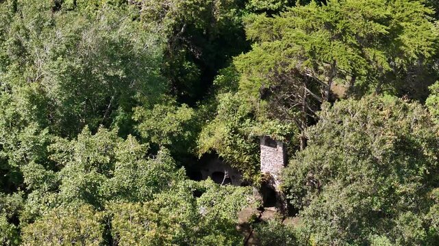 Roof of church in rainforest aerial drone view Nicaragua selva