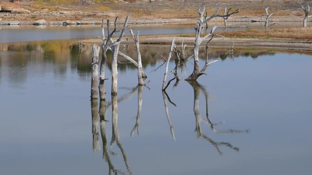  Lake Carl Etling located within Black Mesa State Park in Oklahoma, USA.