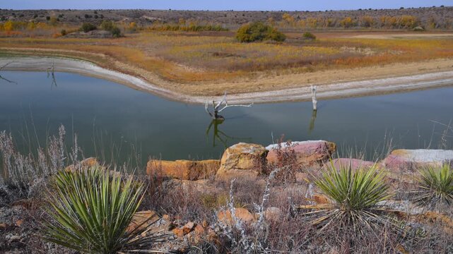 Lake Carl Etling, located in Black Mesa State Park, Oklahoma, USA, featuring dead and drought-killed trees standing in the receding shallow water during autumn.