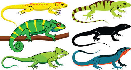 Naklejka premium Lizard pack flat vector illustration. Six detailed exotic reptiles including a striped chameleon perched on wood and a black gecko display vibrant wildlife patterns.