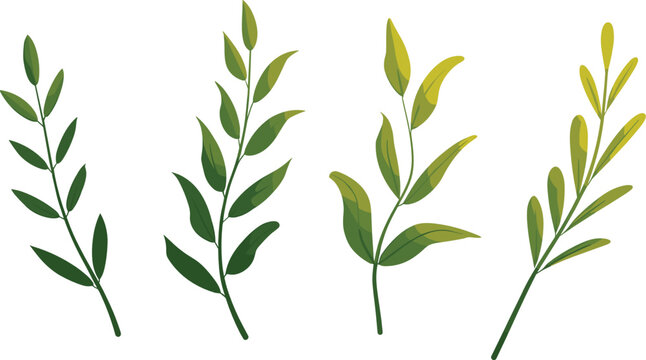 Green branches flat vector illustration. Four unique botanical stems display varying shades of fresh olive leaves for simple natural design elements.