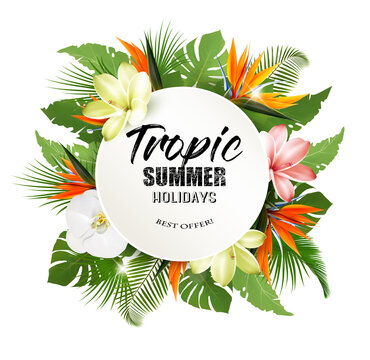 Summer Holiday Background With Tropical Plants And Exotic Flowers. 