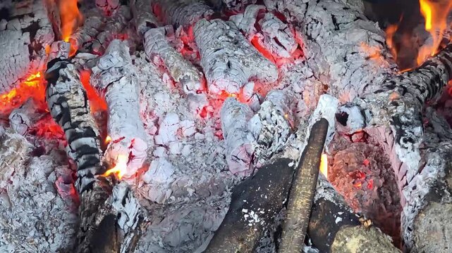 Burning wood and ashes in a fire pit, close-up view