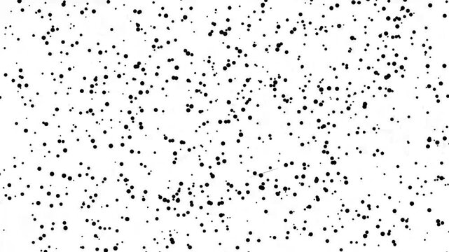Scattered Black Dots on White Background Minimalist Abstract Pattern Texture