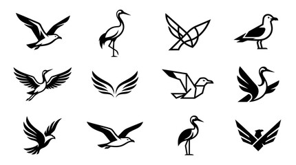 Fototapeta premium Diverse black bird silhouettes in flight and standing poses.