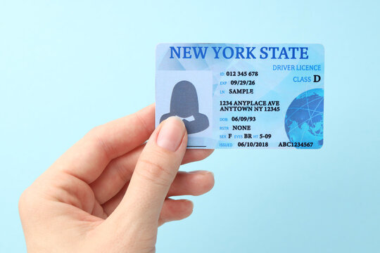 Woman holding driver's licence on light blue background, closeup